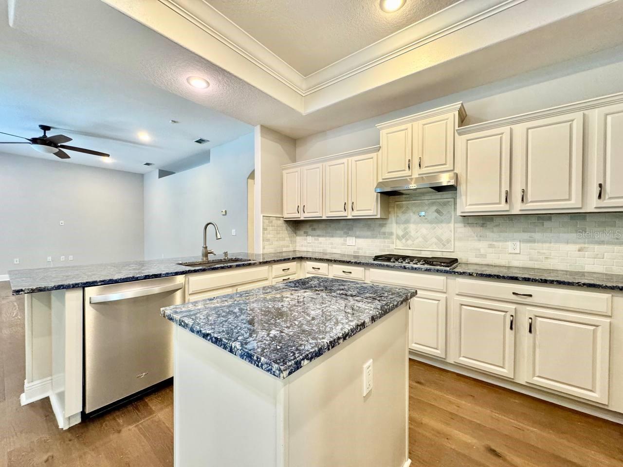 30518 Colehaven Ct Property Photo 27