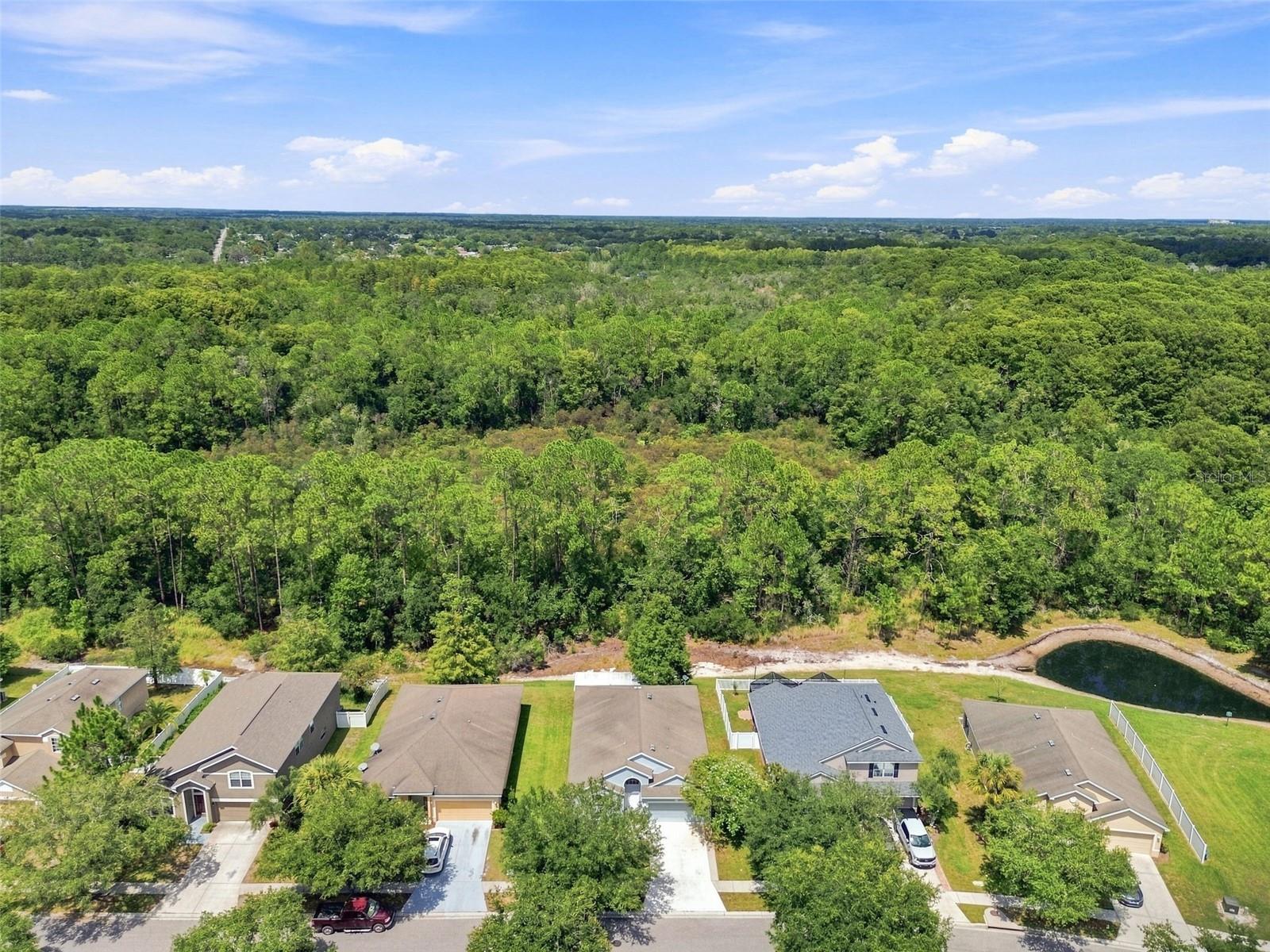 12118 Colony Lakes Blvd Property Photo 17
