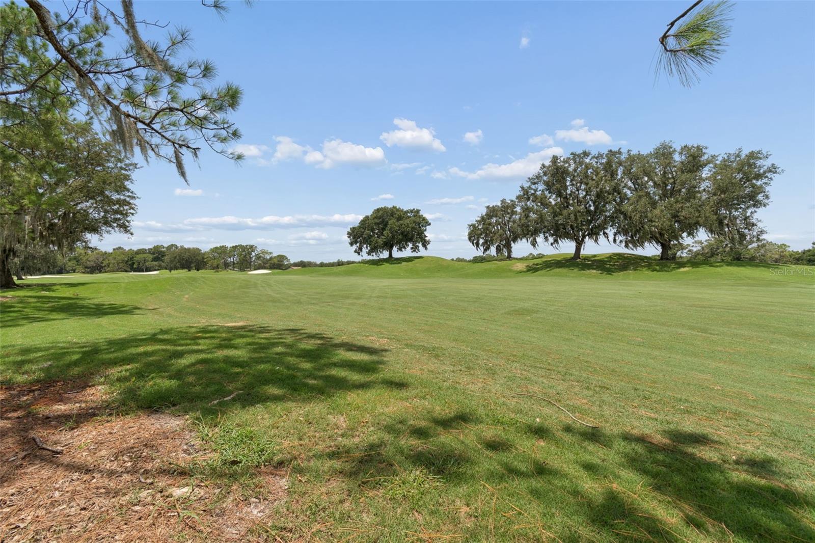 17714 Grey Eagle Rd Property Photo 33
