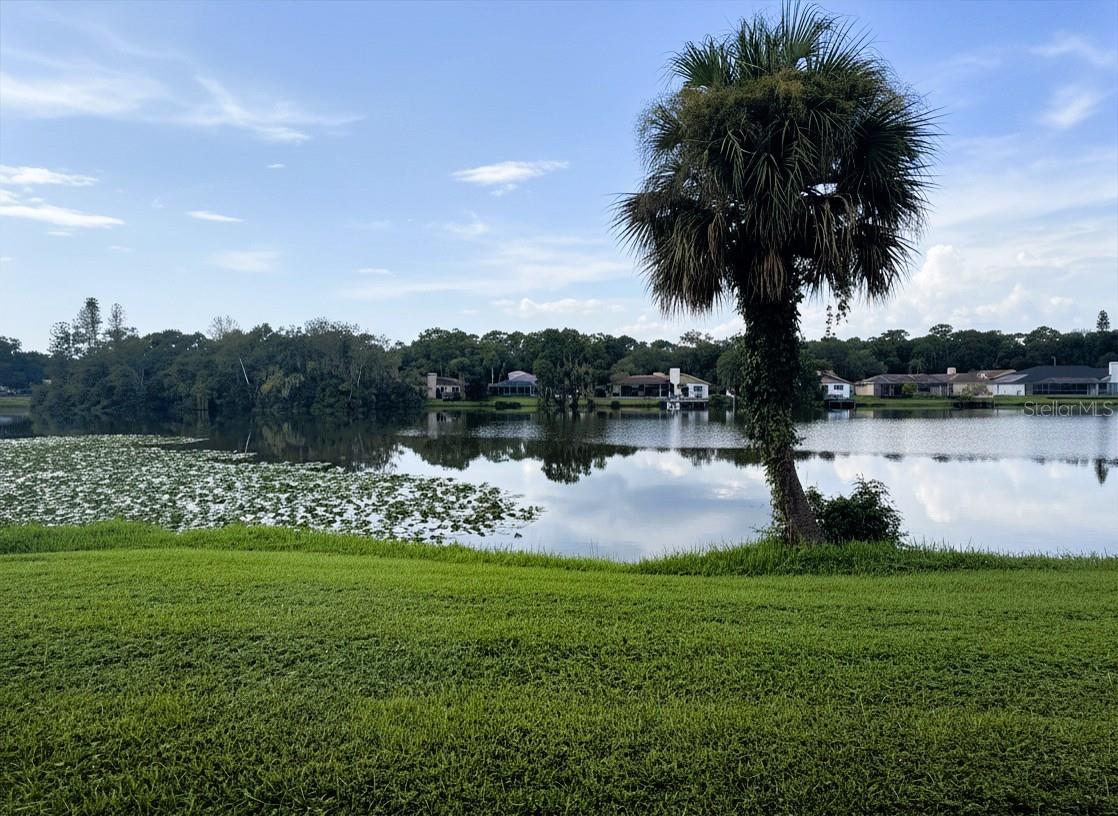 15502 Morning Dr Property Photo 24