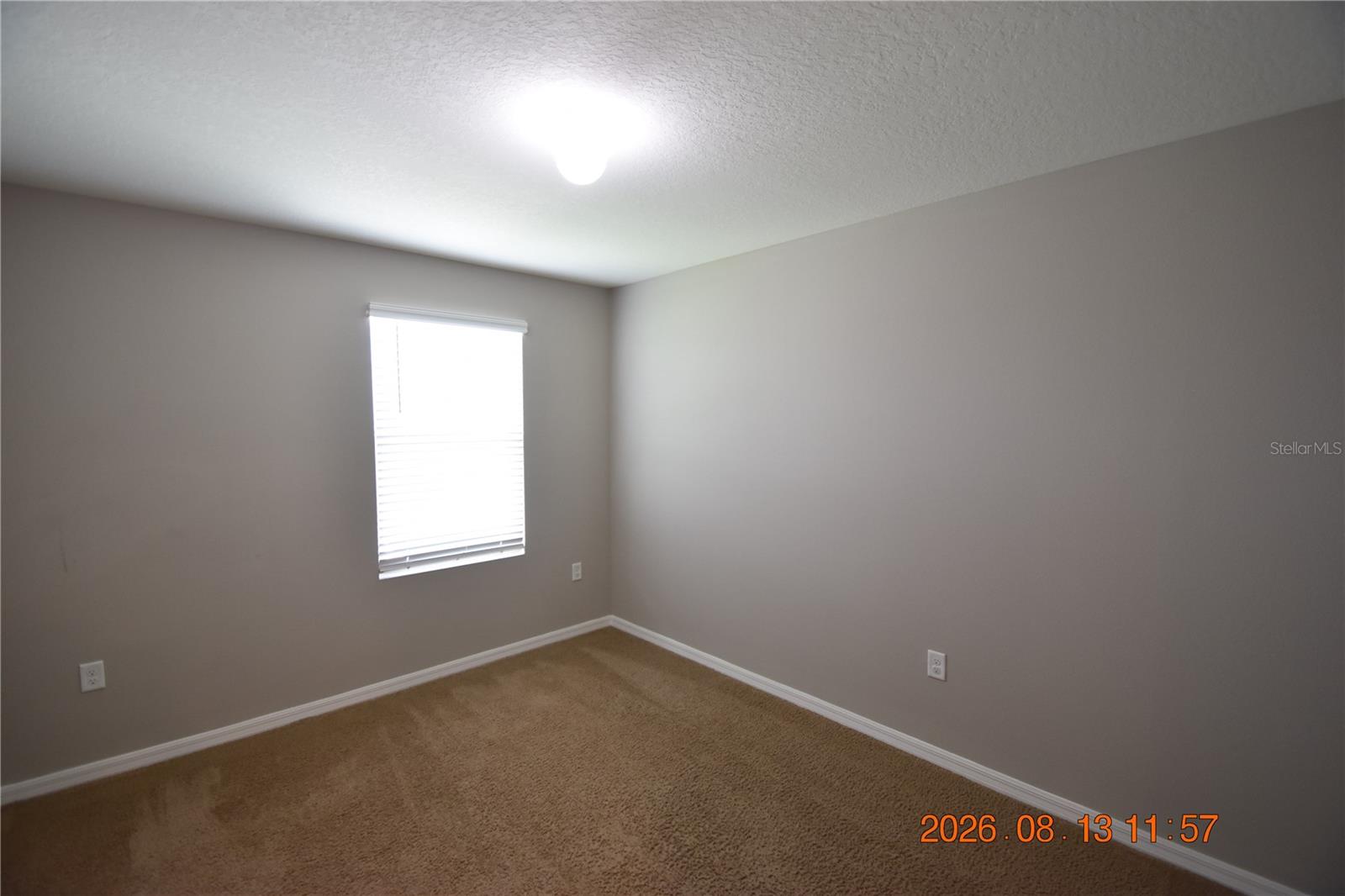 10233 Mangrove Well Rd Property Photo 40