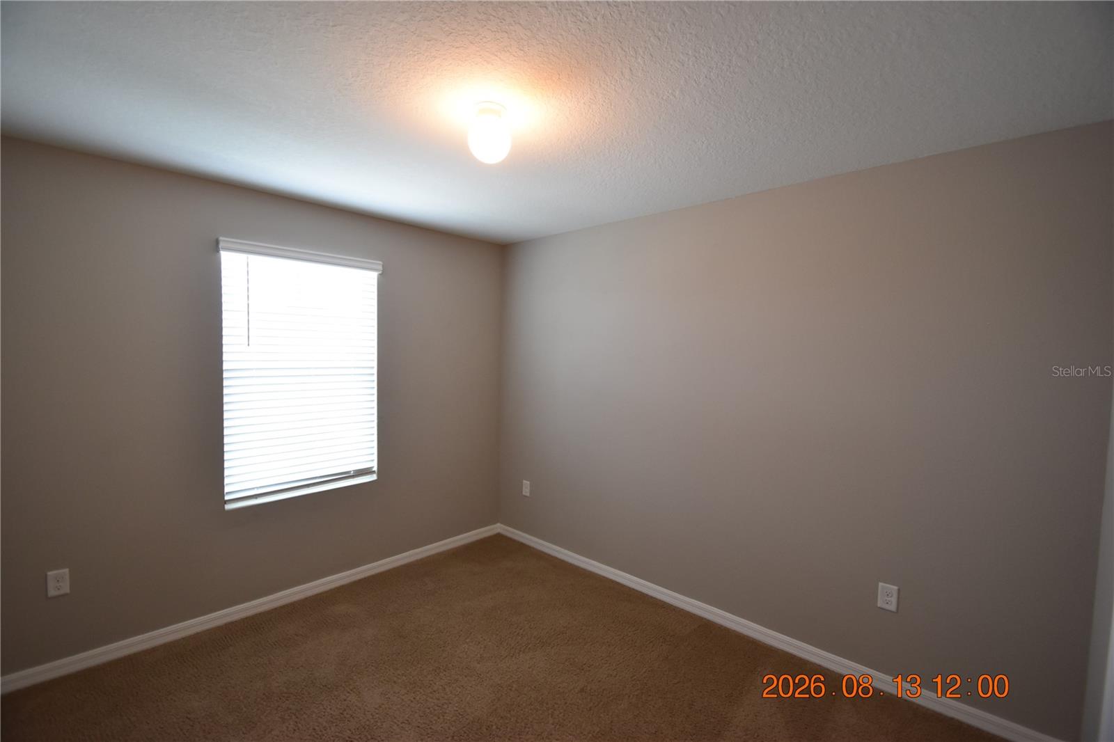 10233 Mangrove Well Rd Property Photo 52