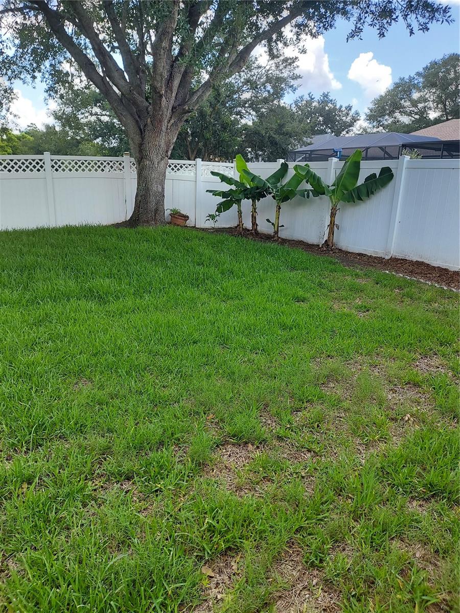1003 Lumsden Trace Cir Property Photo 31