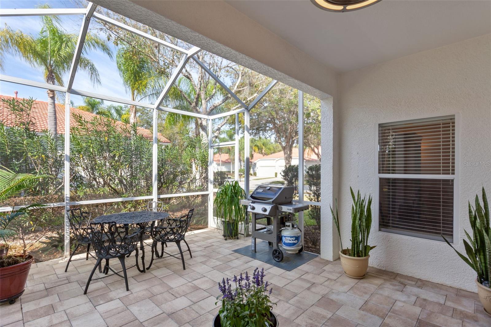 10245 Devonshire Lake Dr Property Photo 17