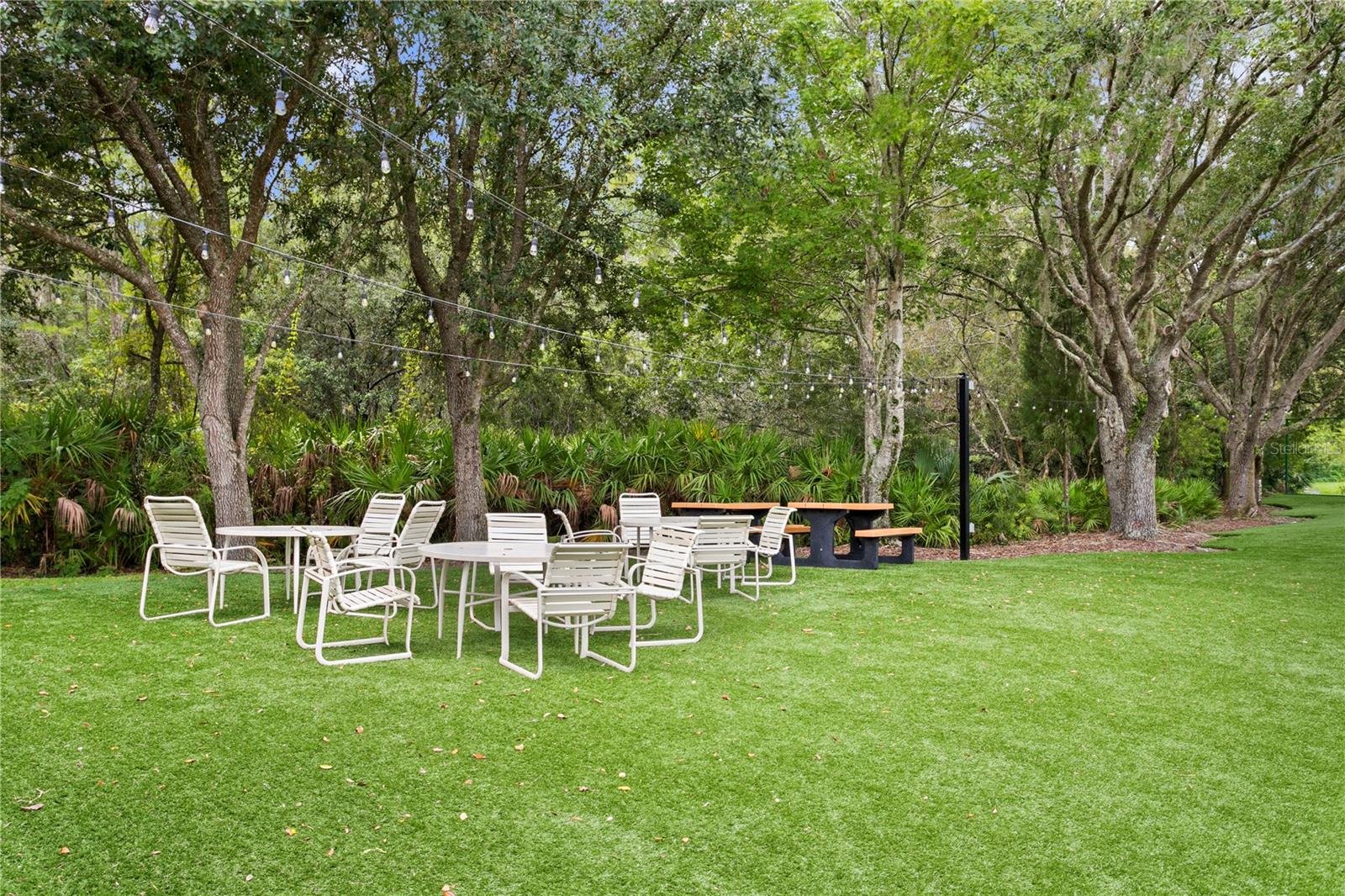 10245 Devonshire Lake Dr Property Photo 35