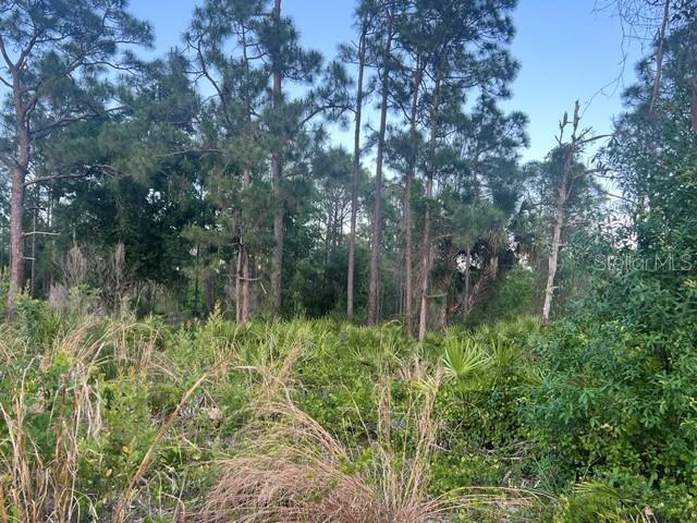 13352 Rodin Dr Property Photo 3