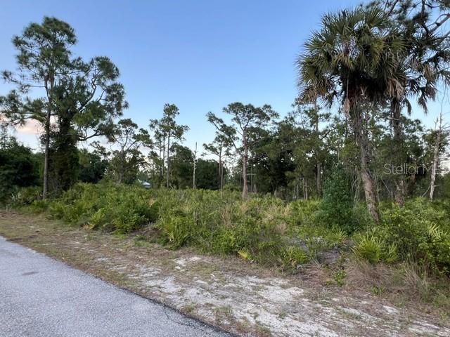 13352 Rodin Dr Property Photo 4