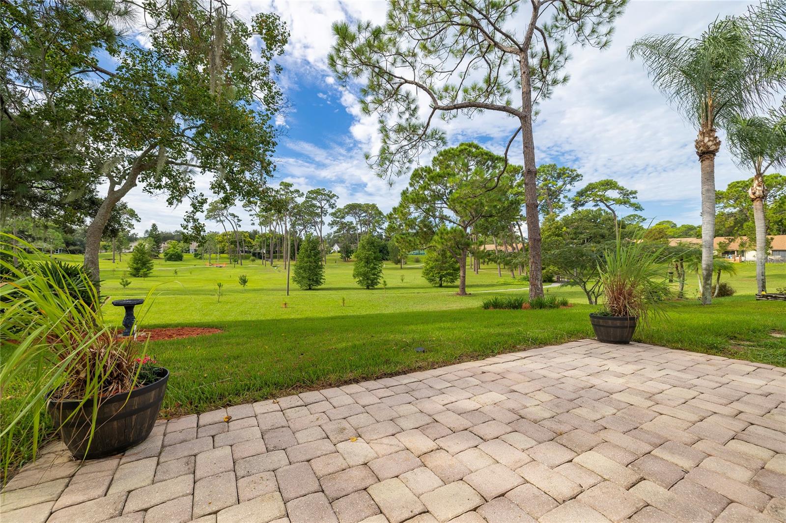 3100 Pine Forest Dr Property Photo 48