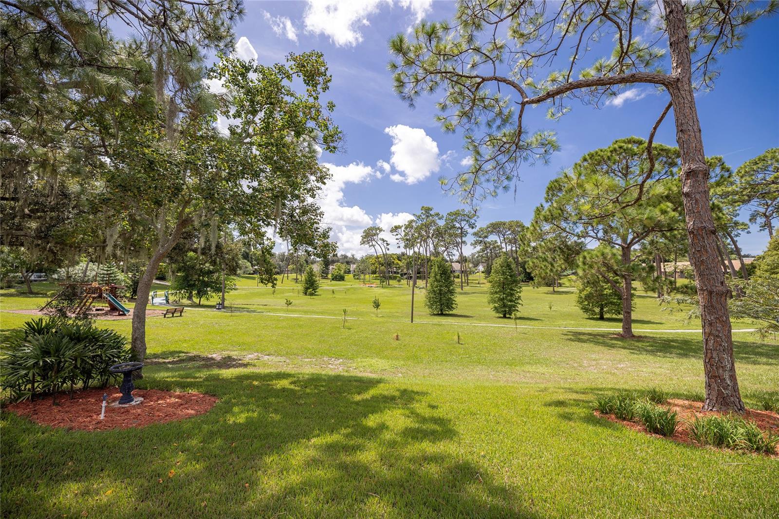 3100 Pine Forest Dr Property Photo 50