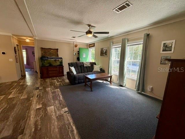 9825 Leguna St Property Photo 11