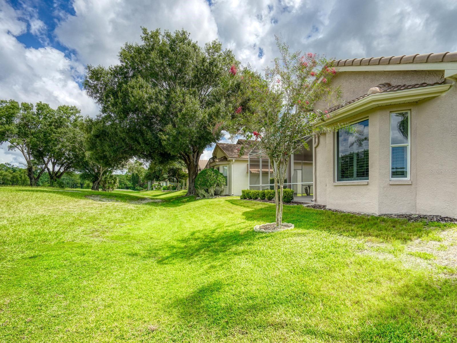 3944 Silk Oak Ln Property Photo 42