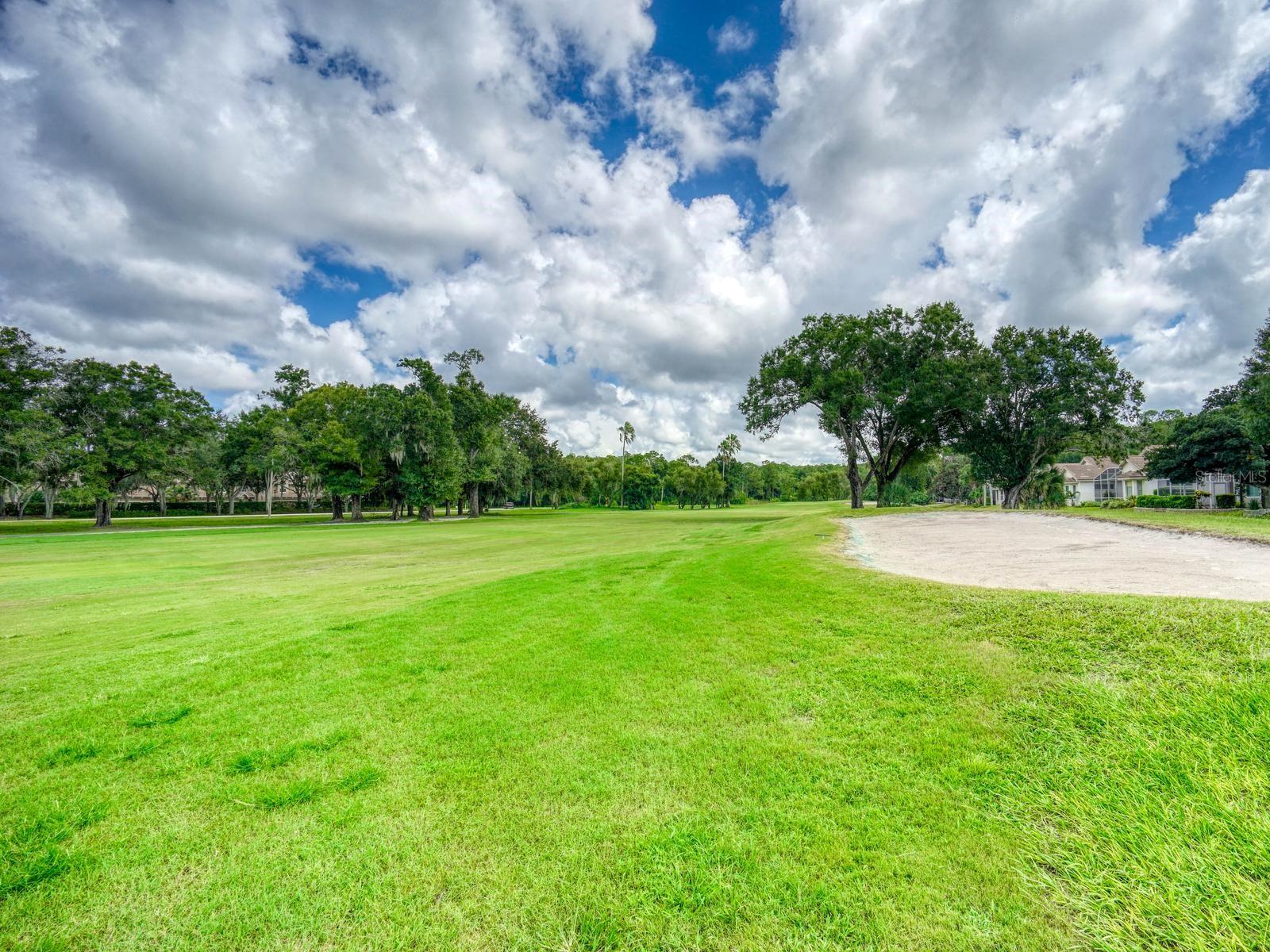 3944 Silk Oak Ln Property Photo 43