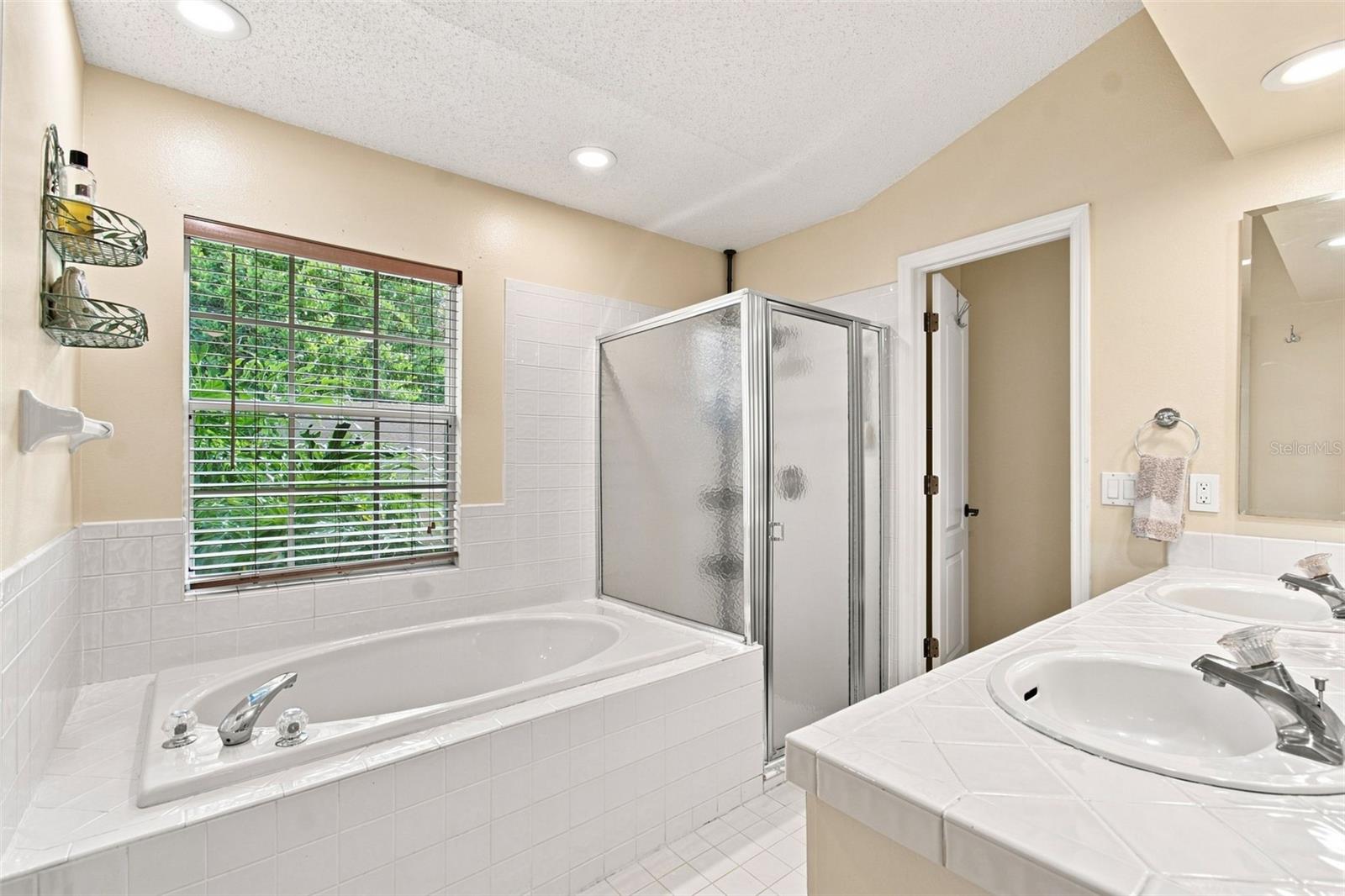 16804 Sheffield Park Dr Property Photo 38