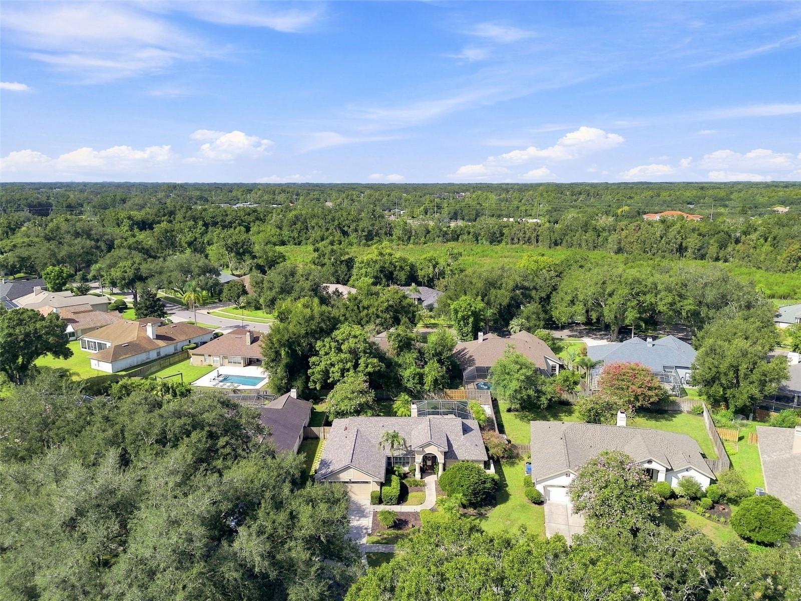 16804 Sheffield Park Dr Property Photo 63