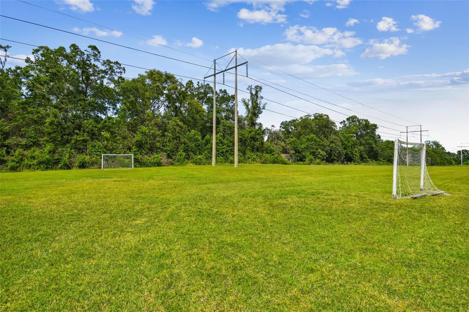 16804 Sheffield Park Dr Property Photo 66