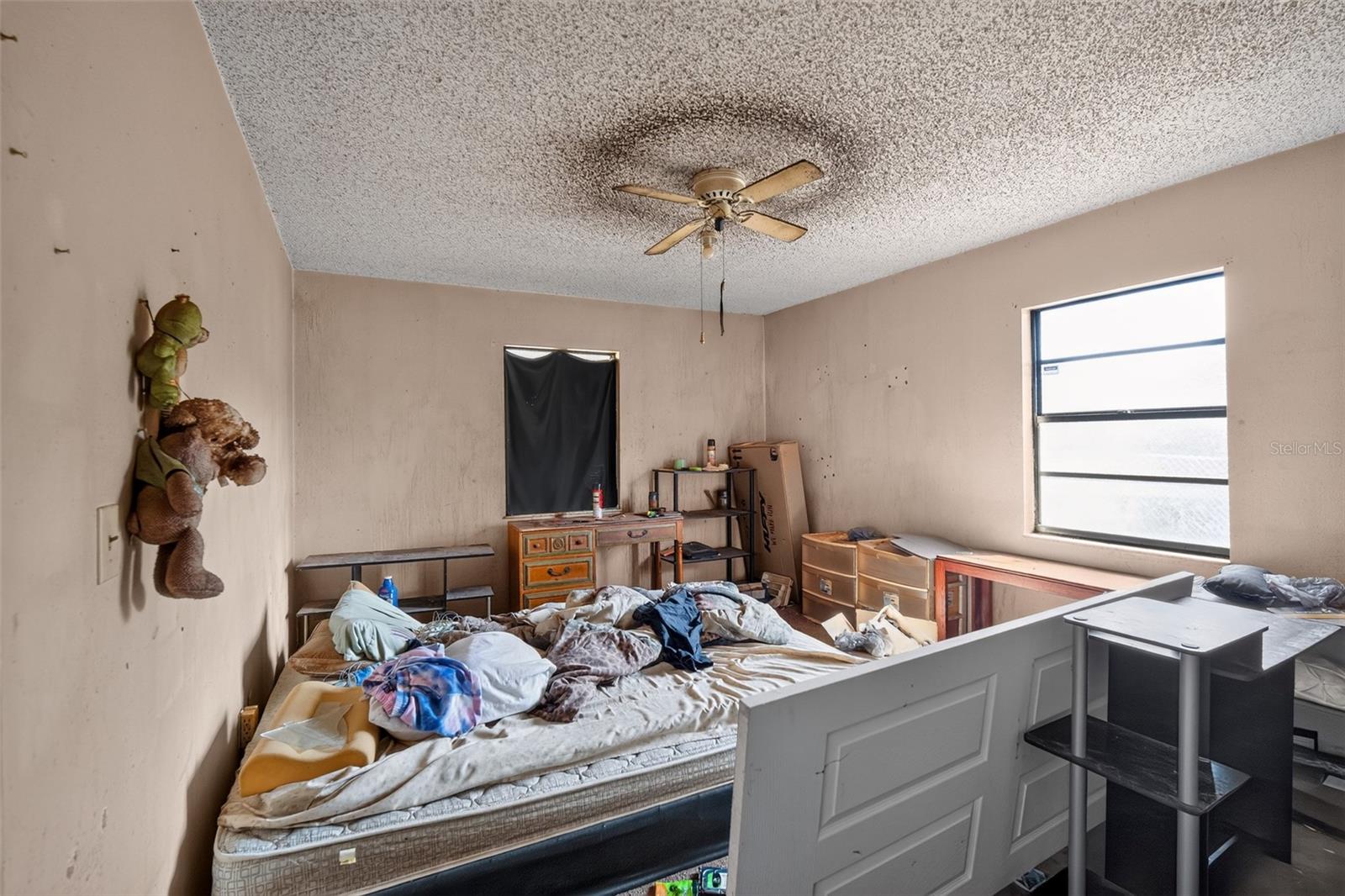 13277 Brewster Rd Property Photo 27