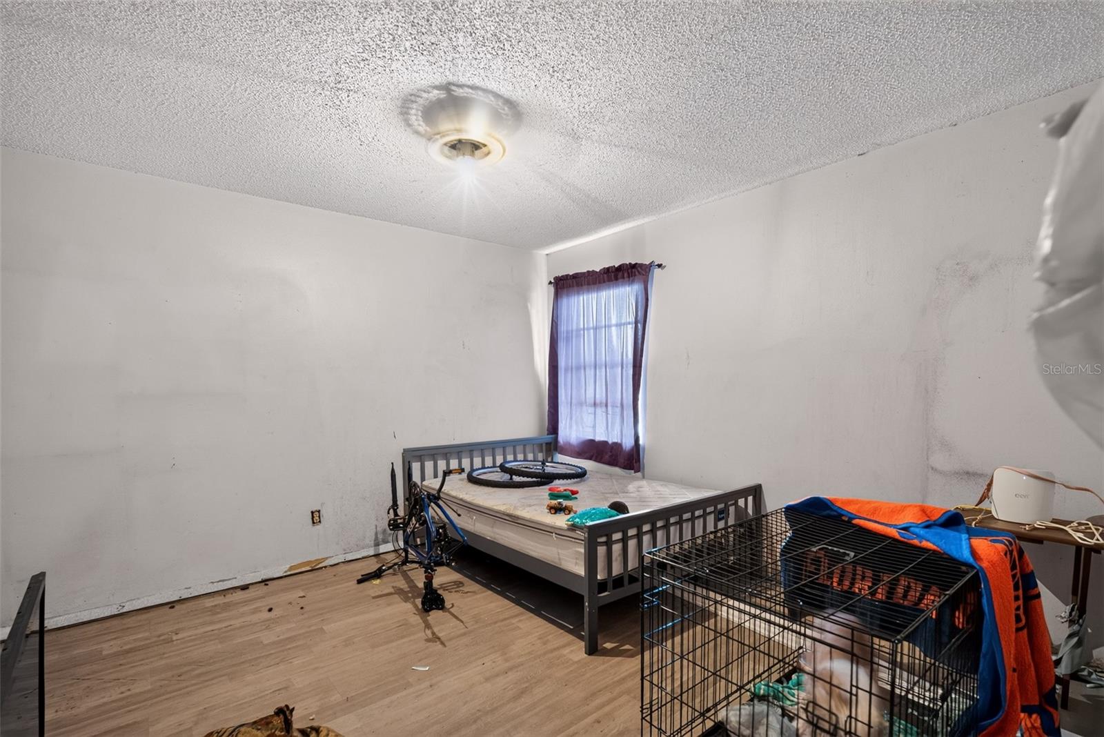 13277 Brewster Rd Property Photo 33