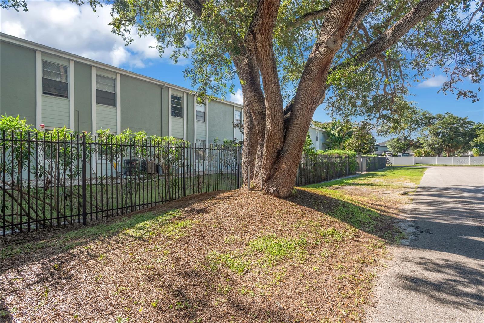 5440 S Macdill Ave #3c Property Photo 19