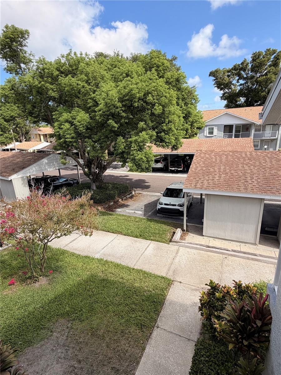 1435 Millstream Ln #204 Property Photo 16