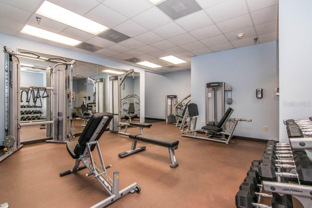 345 Bayshore Blvd #808 Property Photo 37
