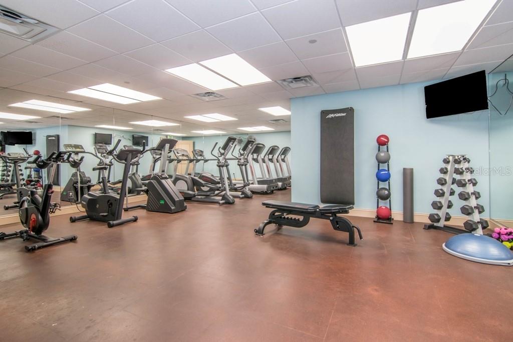 345 Bayshore Blvd #808 Property Photo 38
