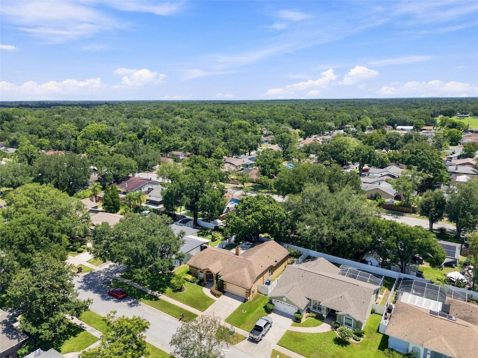 2244 Groveland Dr Property Photo 60