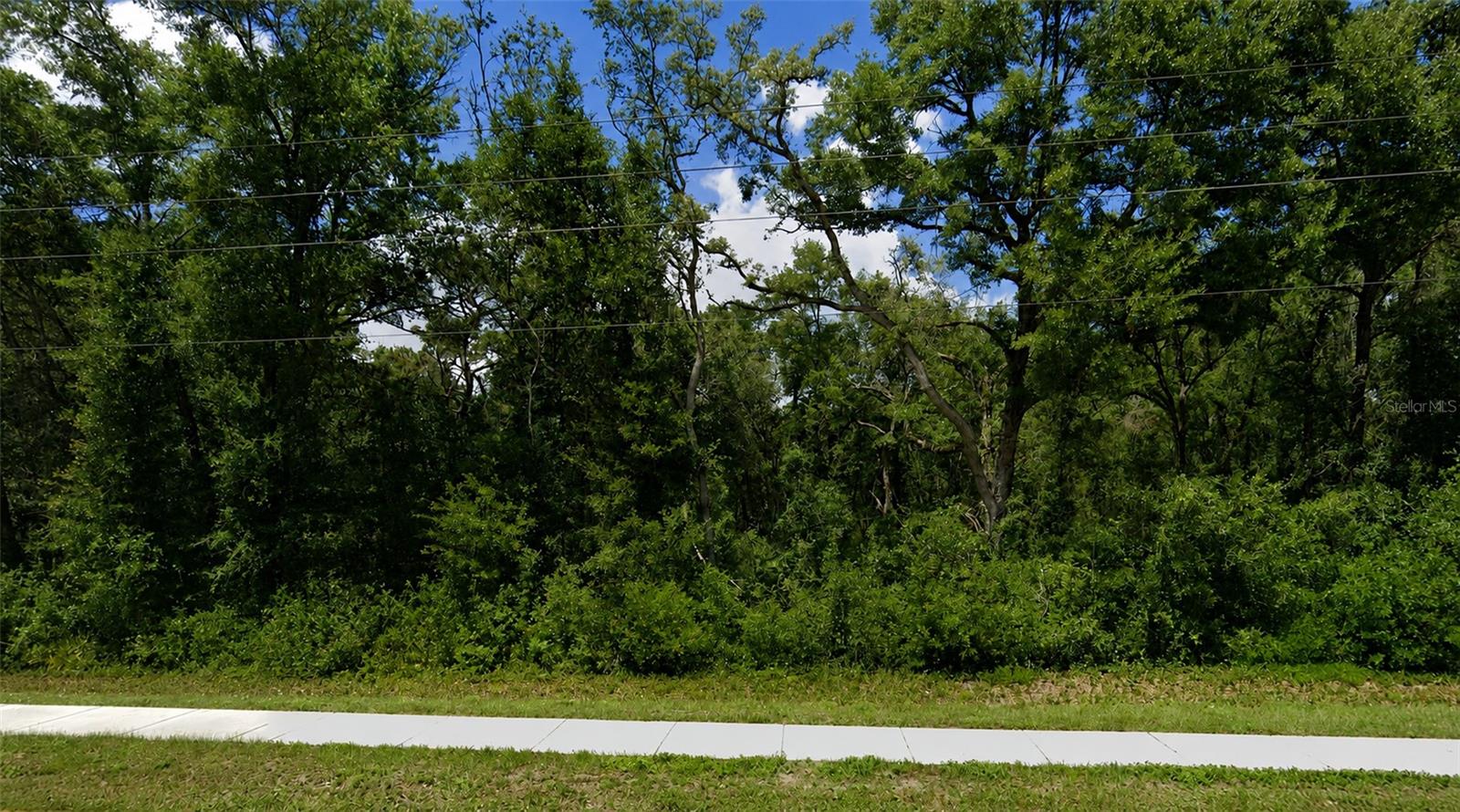 34357 Cortez Blvd Property Photo 3