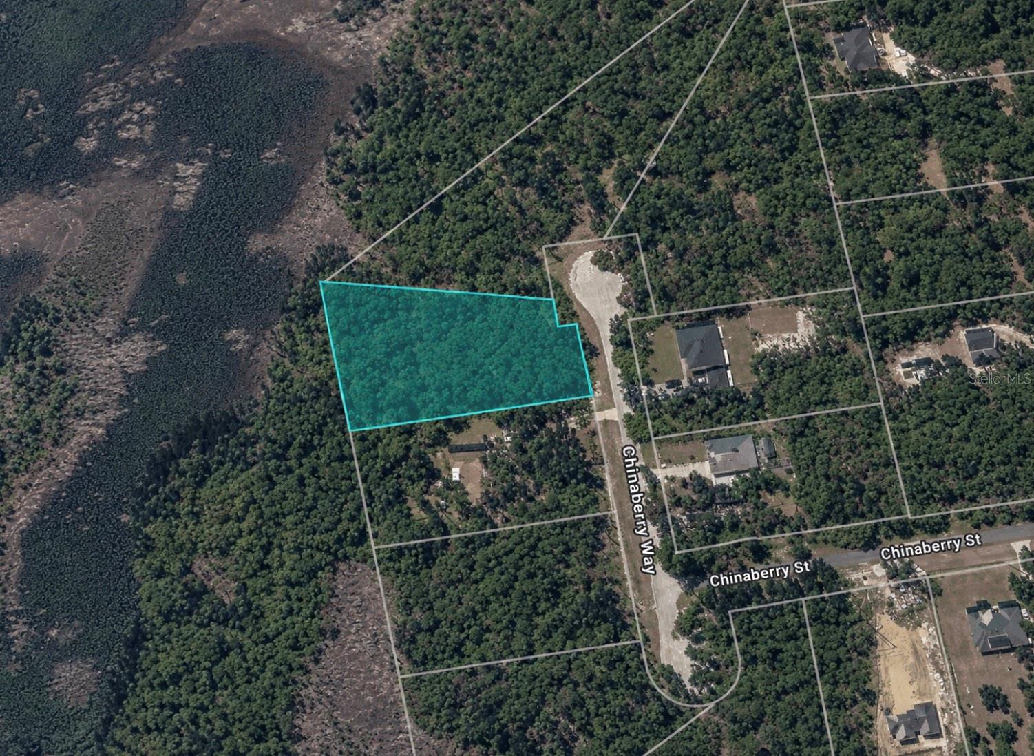 CHINABERRY WAY Property Photo 1