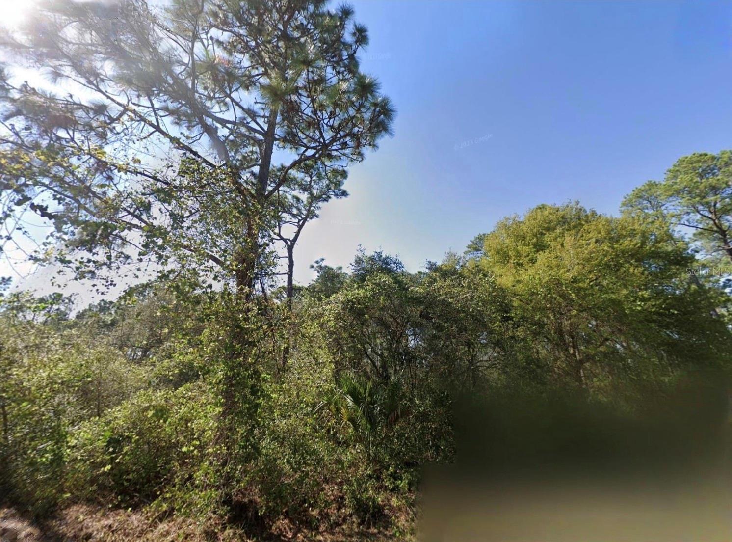 Chinaberry Way Property Photo 3
