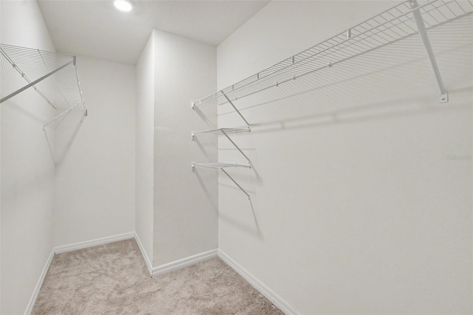 36851 Goffaux Loop Property Photo 38