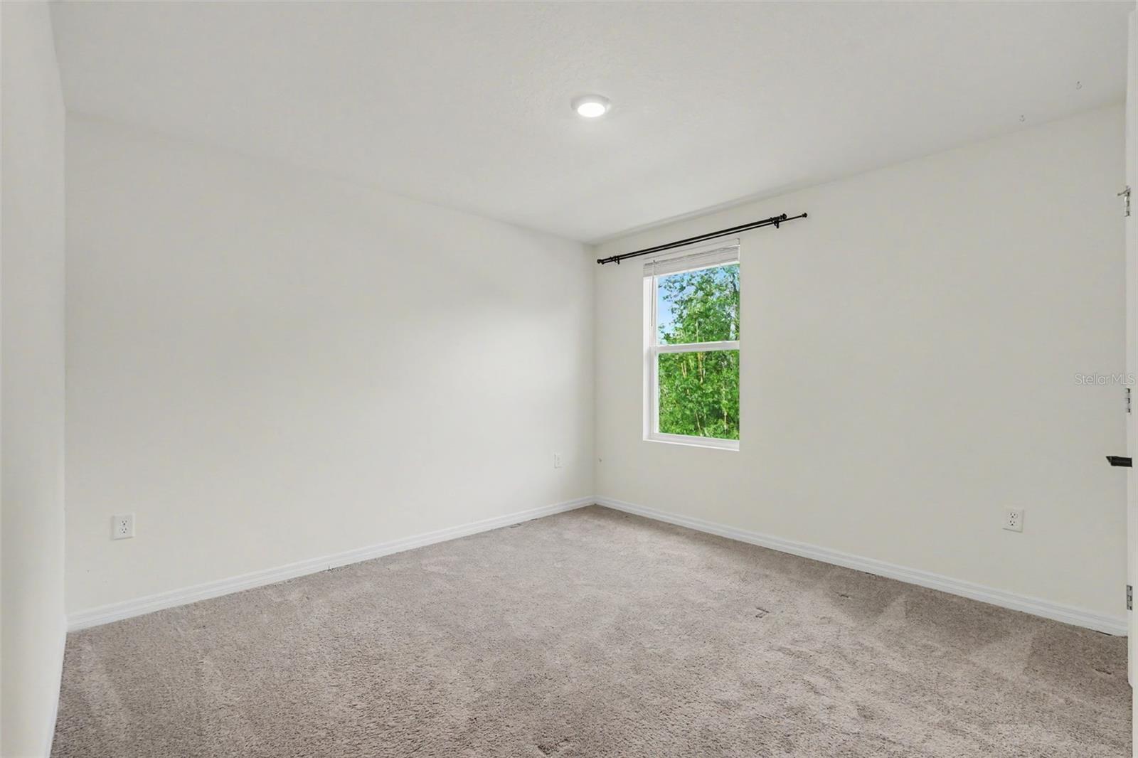 36851 Goffaux Loop Property Photo 49