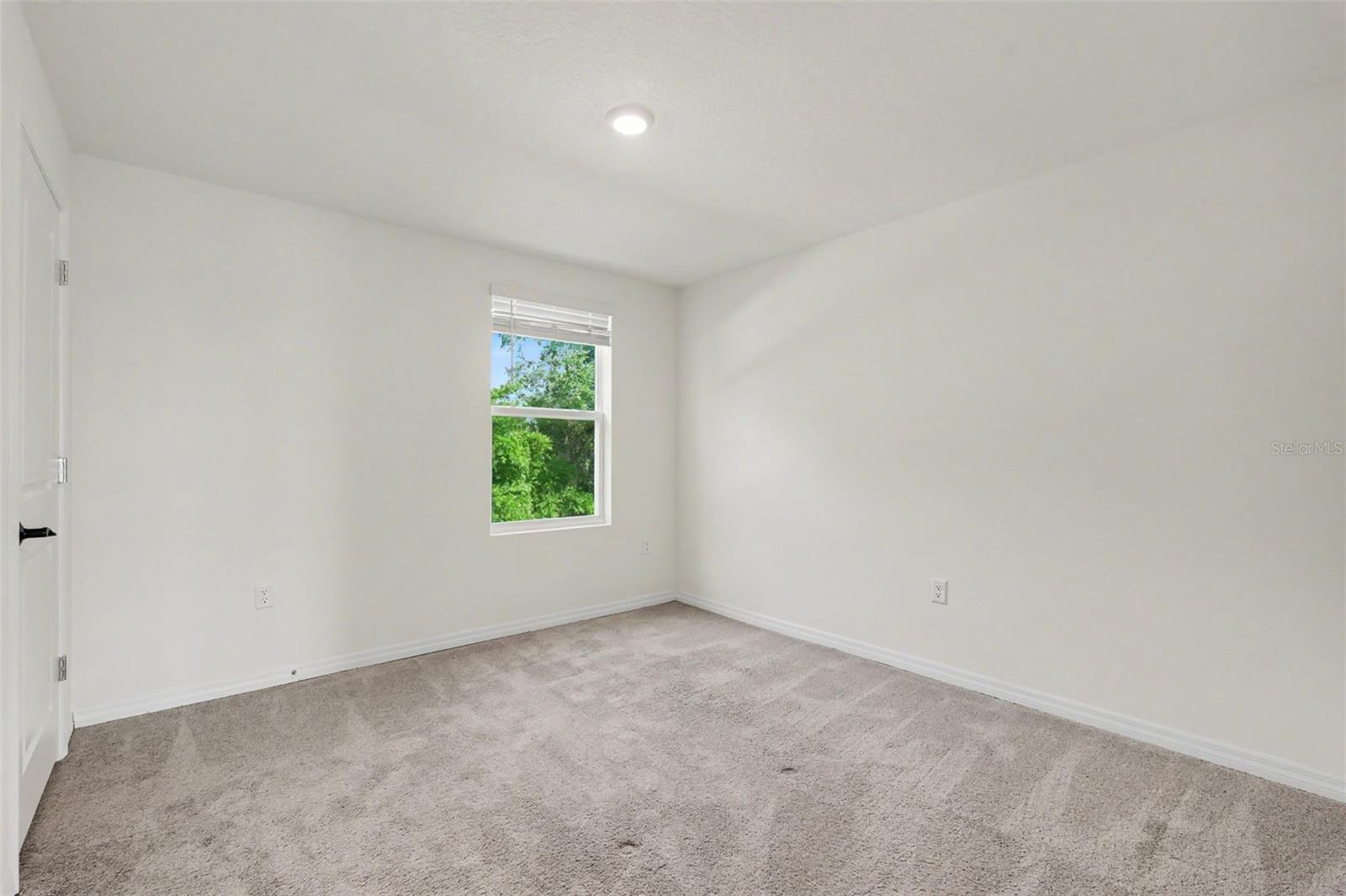 36851 Goffaux Loop Property Photo 55