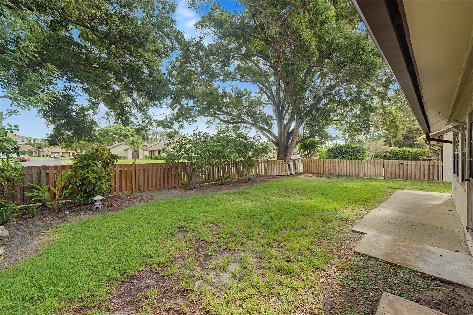 2218 Bay Berry Ln Property Photo 32