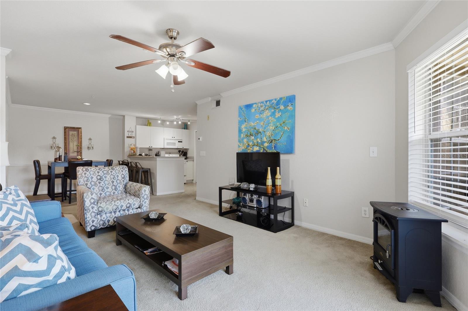 4201 Woodstorks Walk Way #3210 Property Photo 5