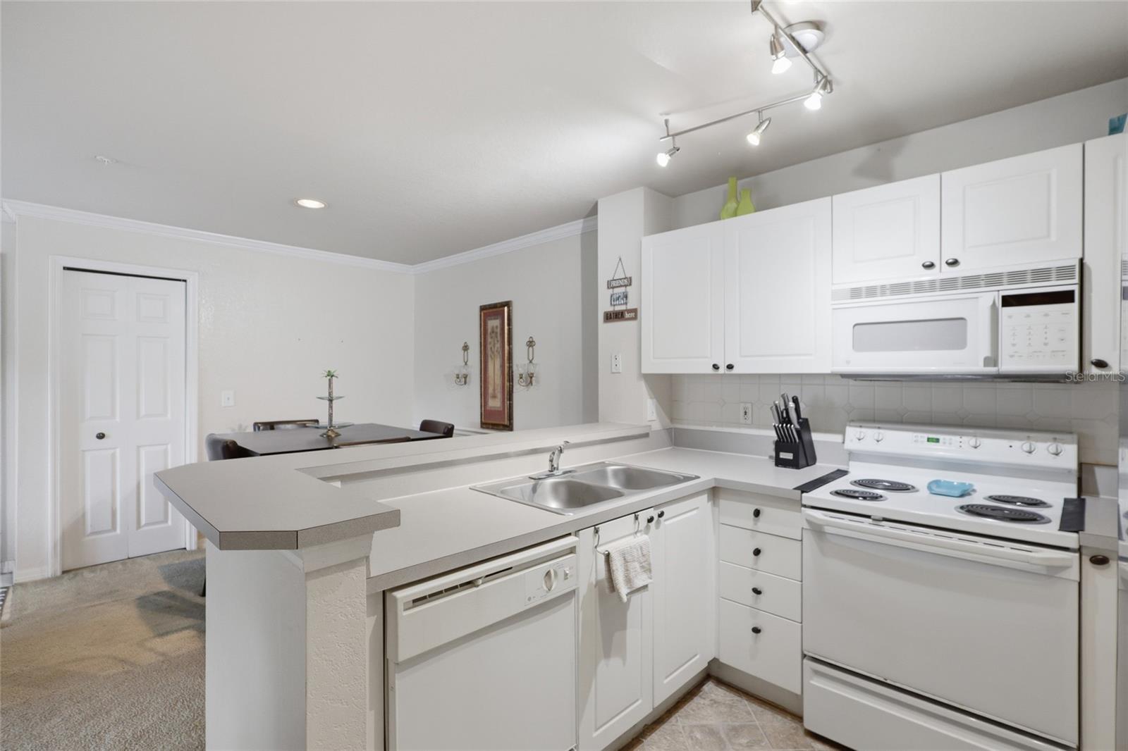 4201 Woodstorks Walk Way #3210 Property Photo 7