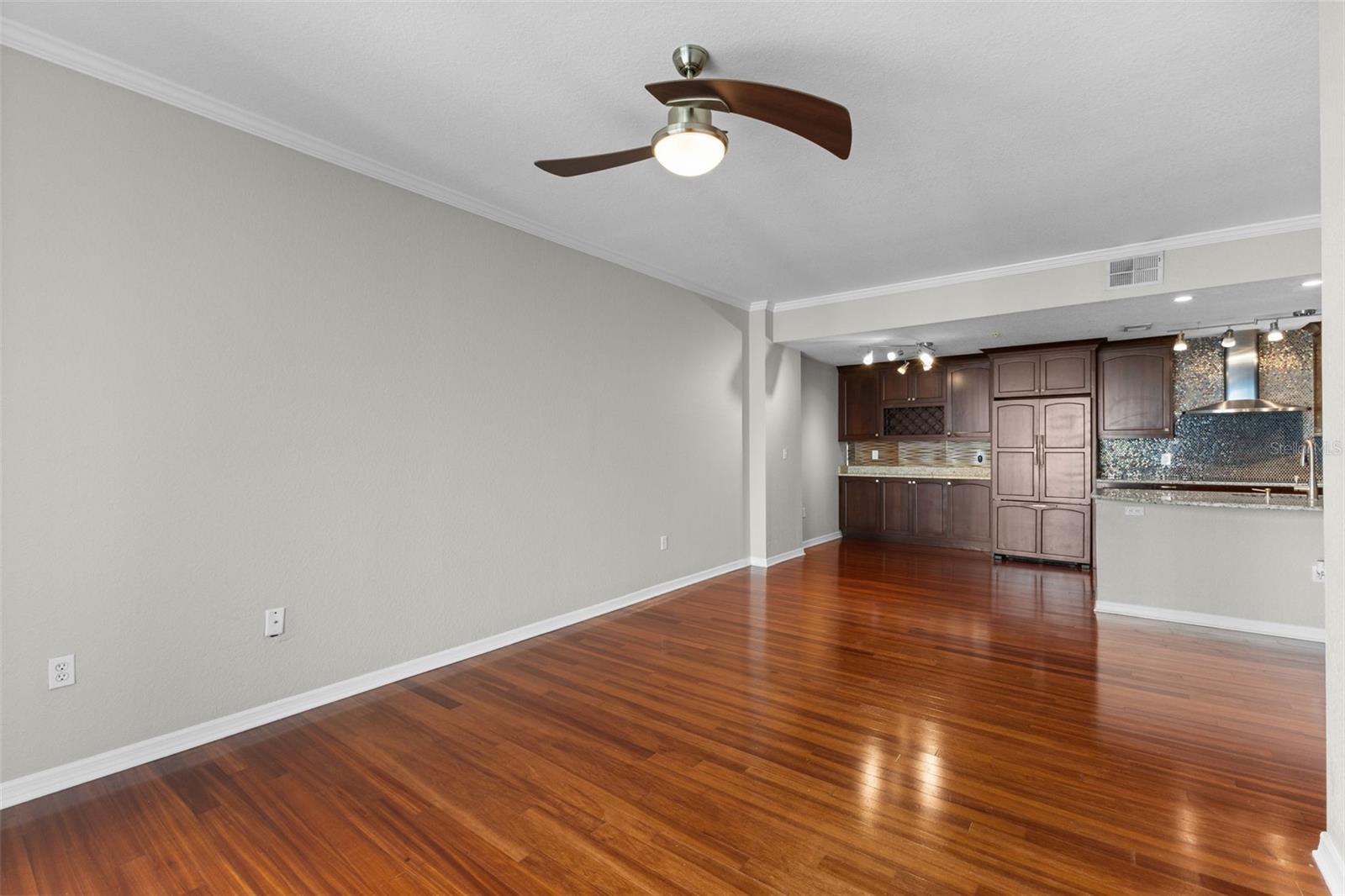 700 S Harbour Island Blvd #421 Property Photo 7