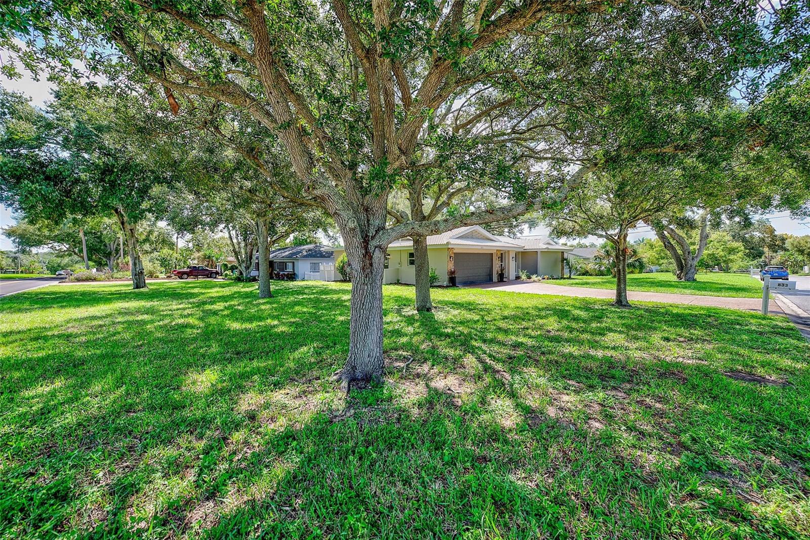 833 Tallowood Dr Property Photo 39