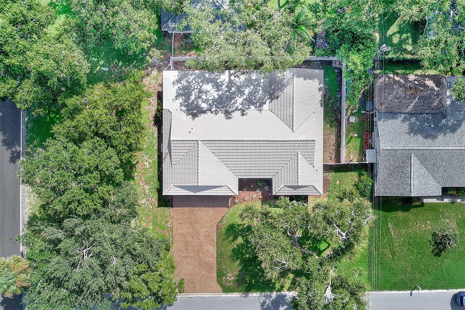 833 Tallowood Dr Property Photo 46