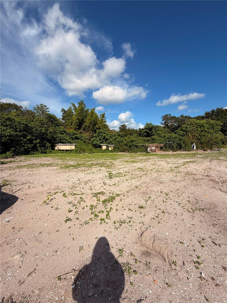11665 Timber Ridge Dr Property Photo 7