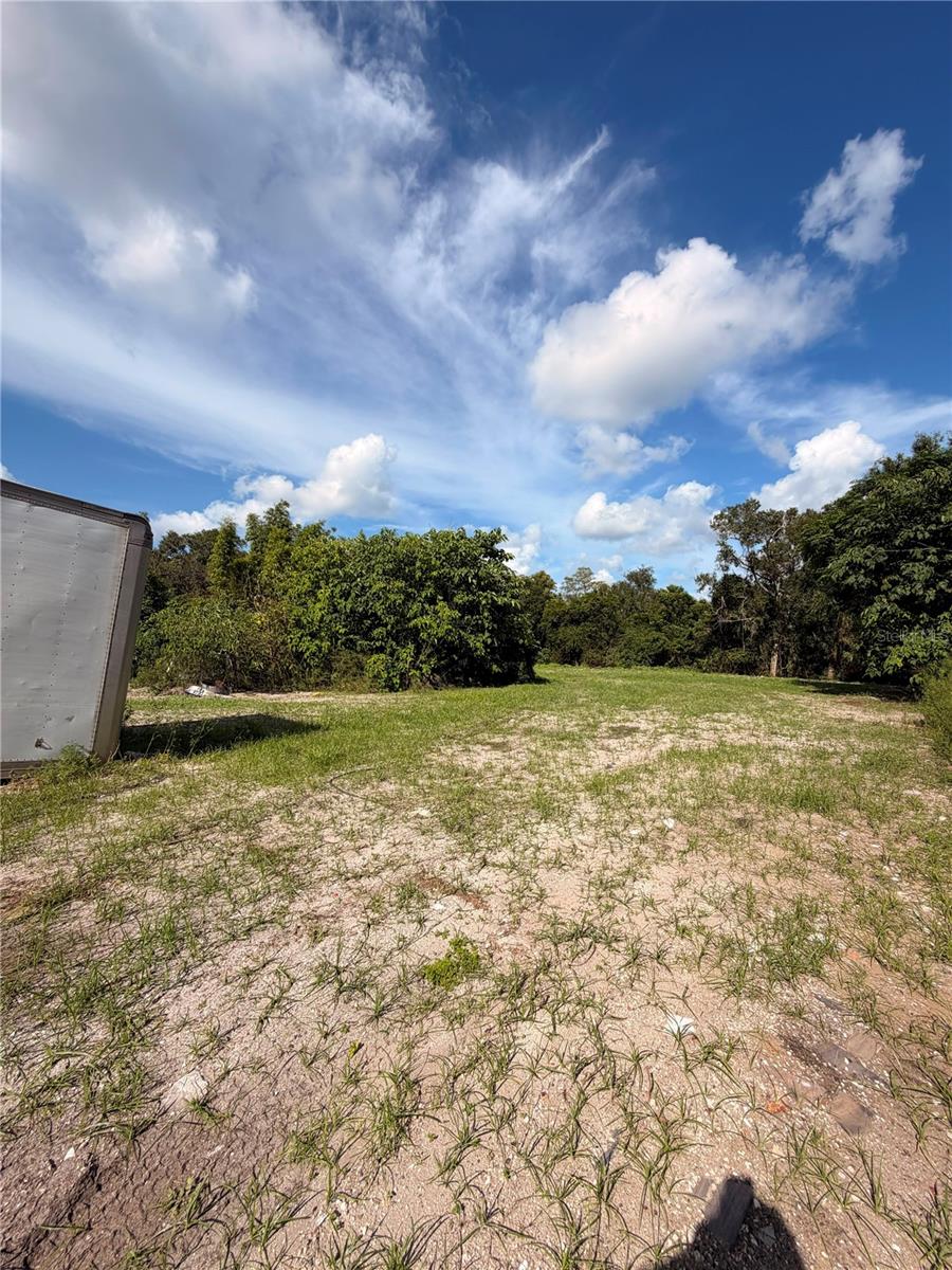 11665 Timber Ridge Dr Property Photo 15