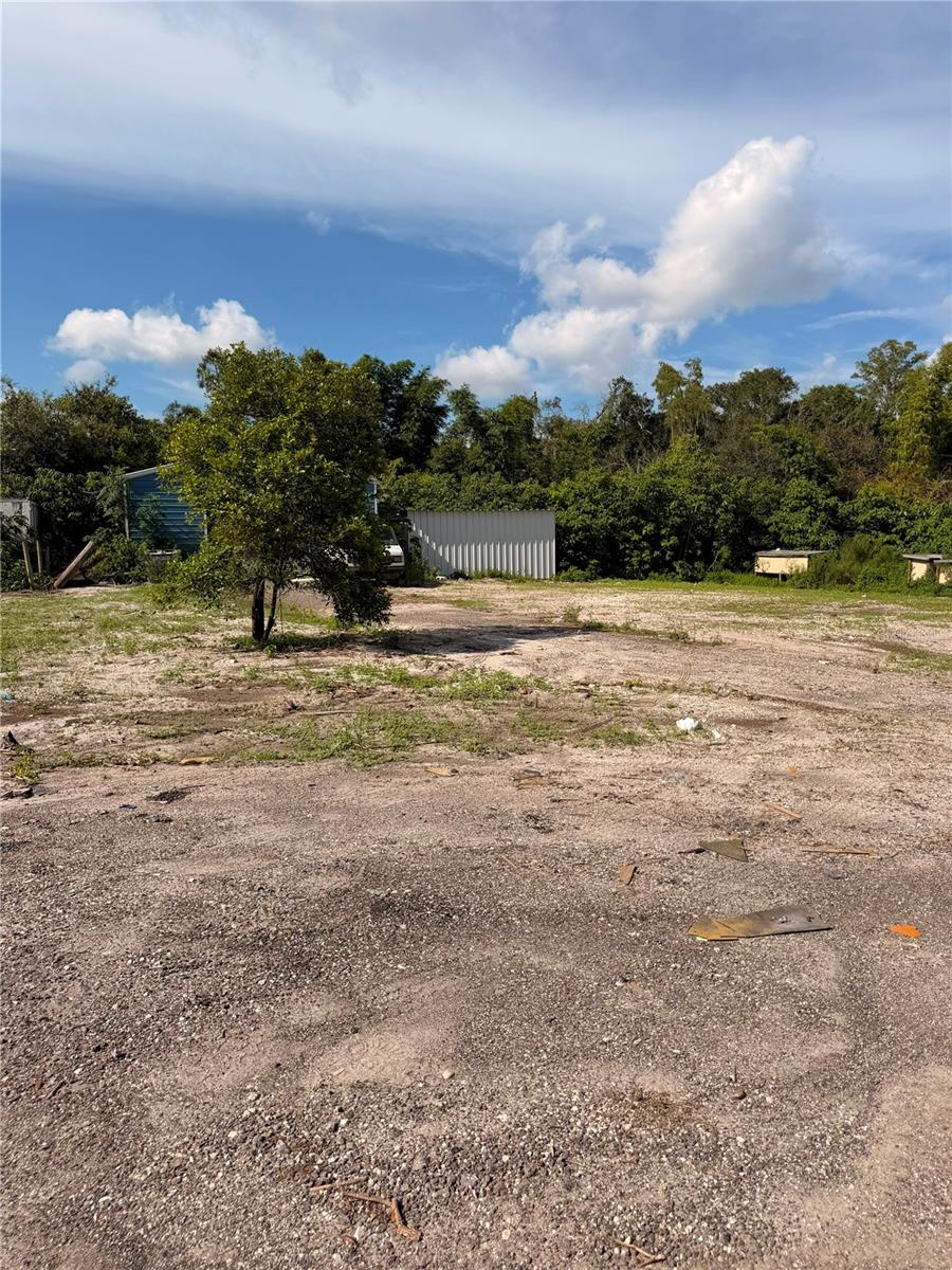 11665 Timber Ridge Dr Property Photo 19