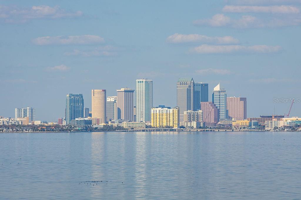 345 Bayshore Blvd #1407 Property Photo 49