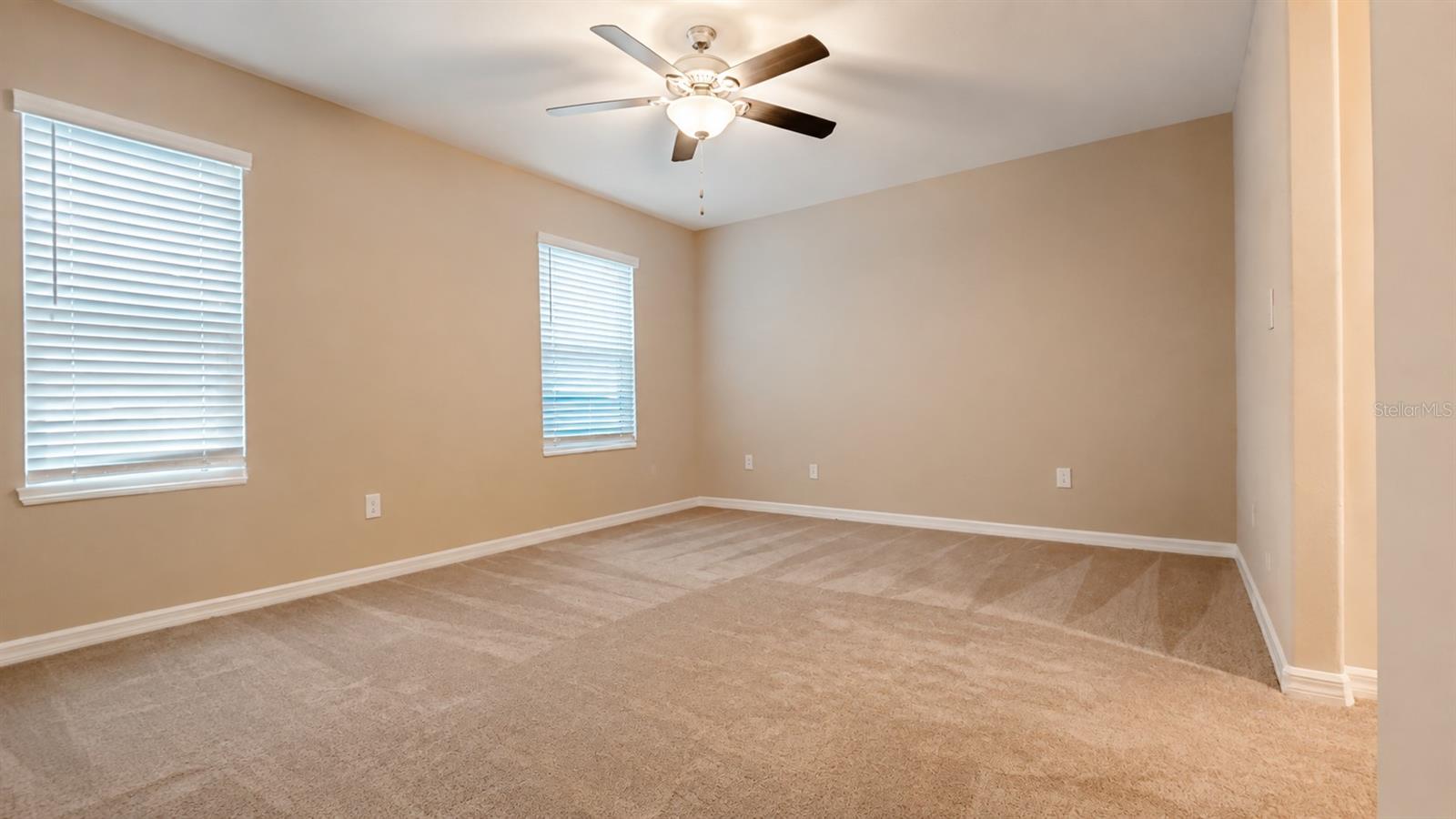 3836 Cat Mint St Property Photo 4