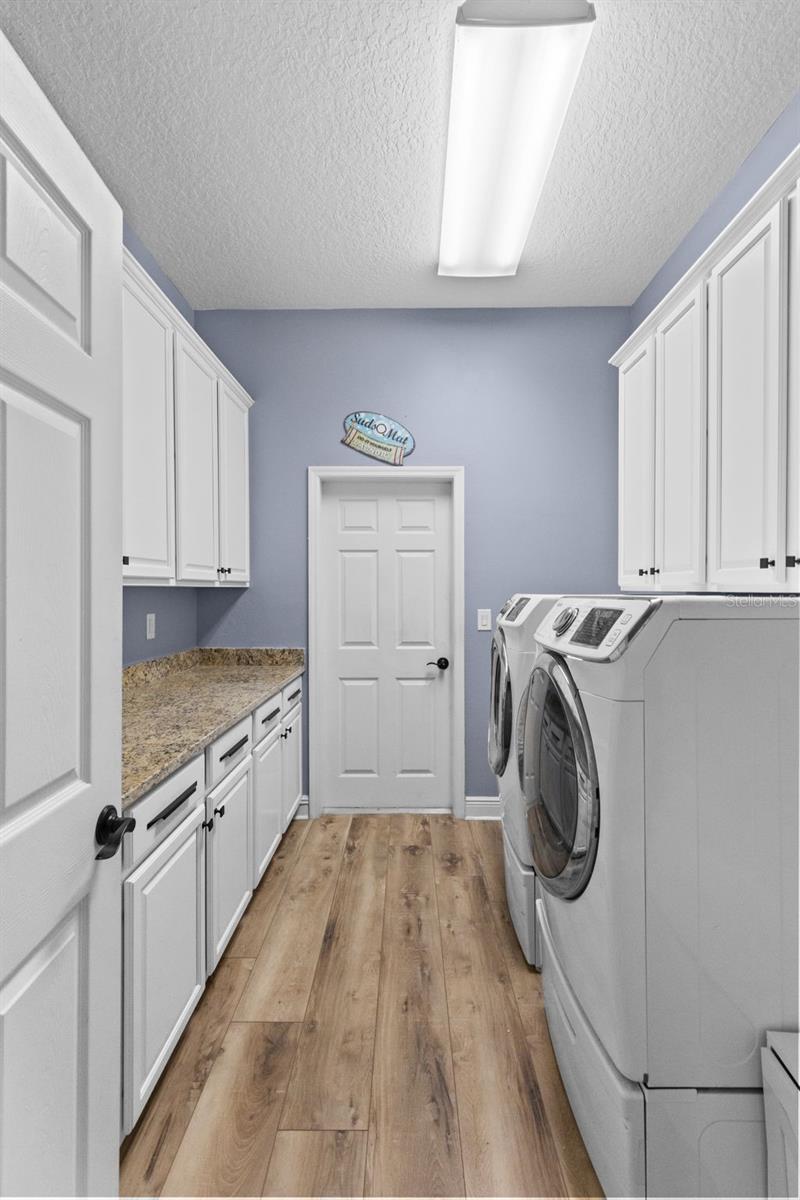 27816 Cobalt Ln Property Photo 33