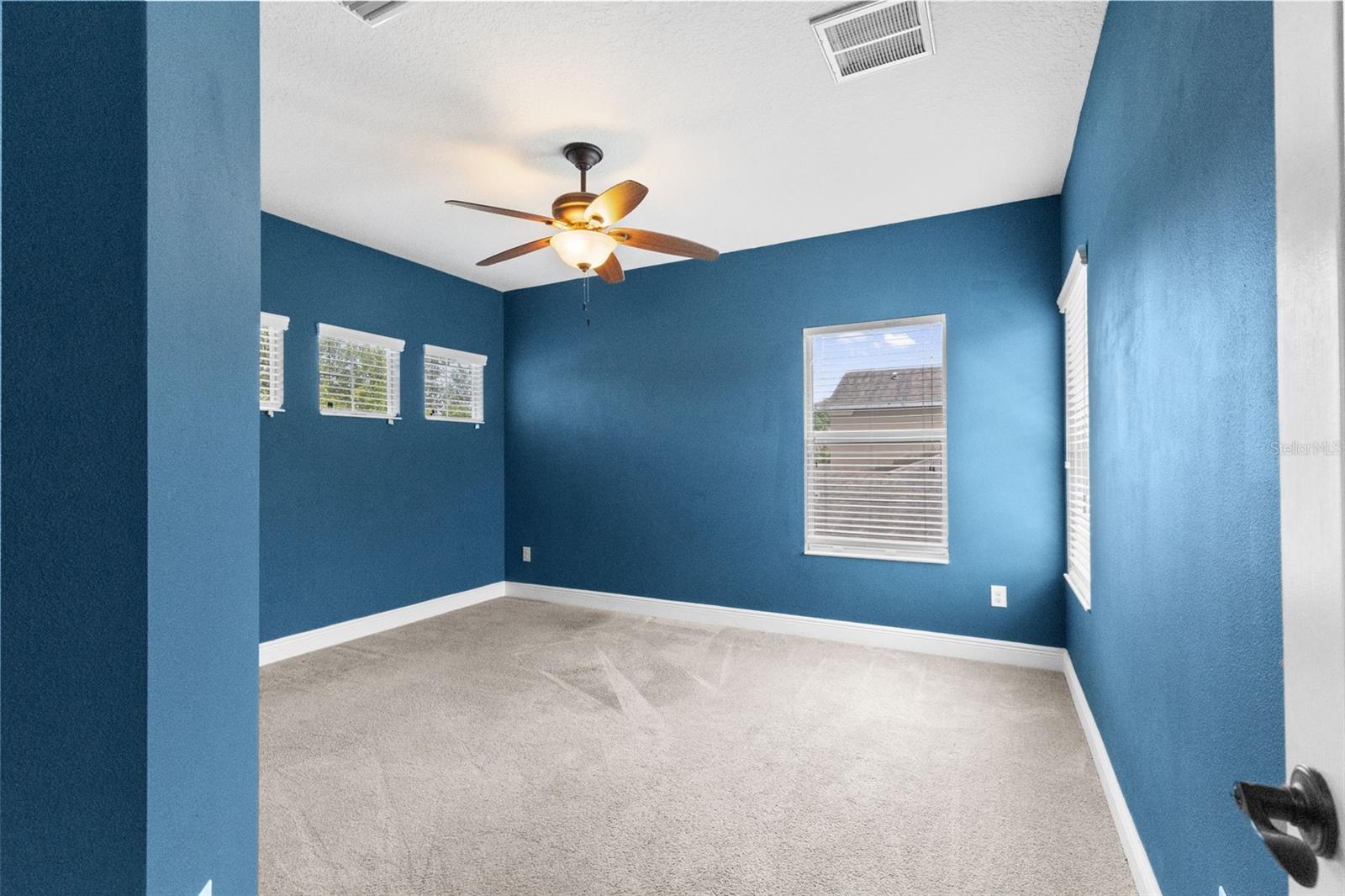 27816 Cobalt Ln Property Photo 46