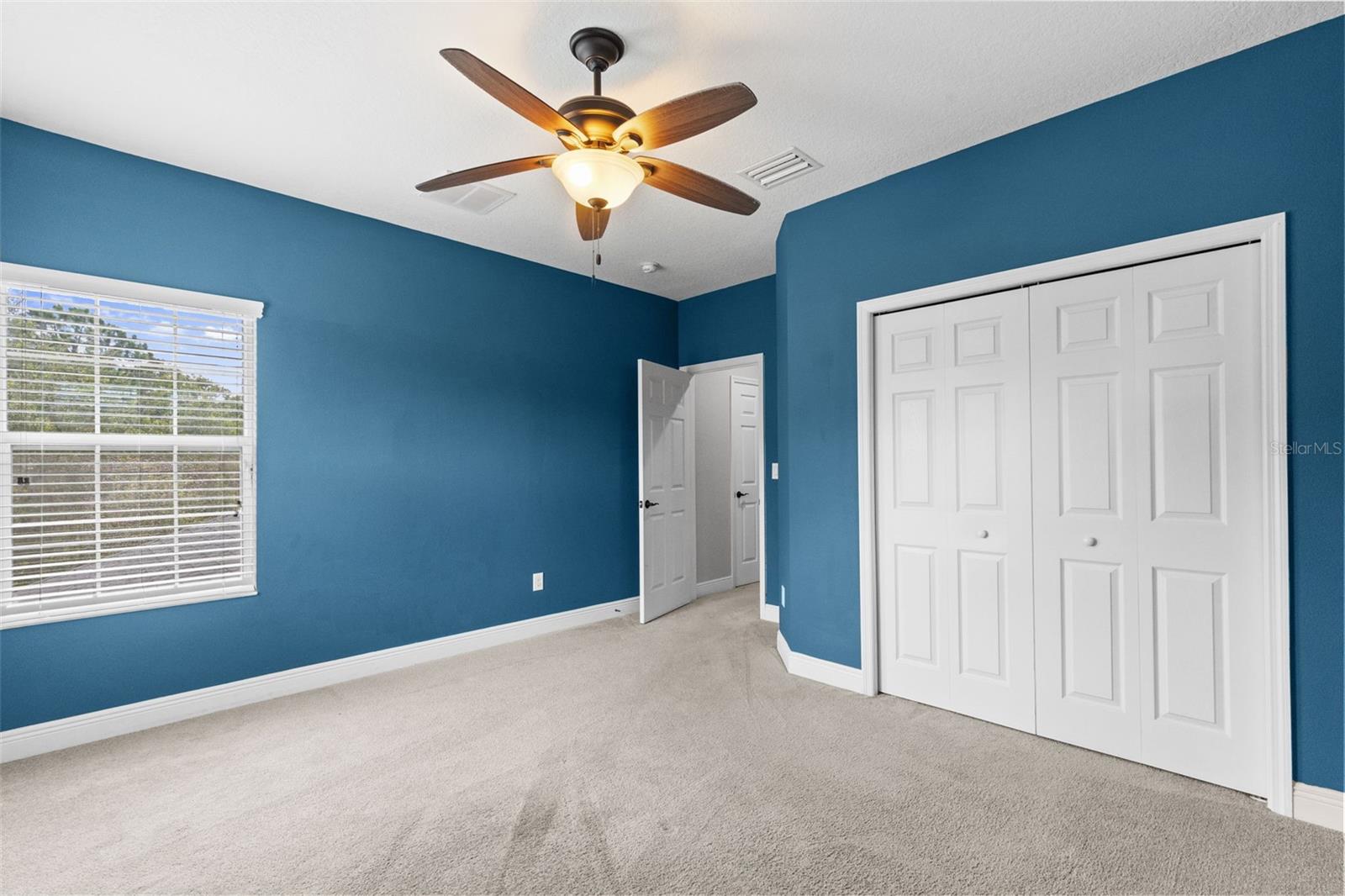 27816 Cobalt Ln Property Photo 47