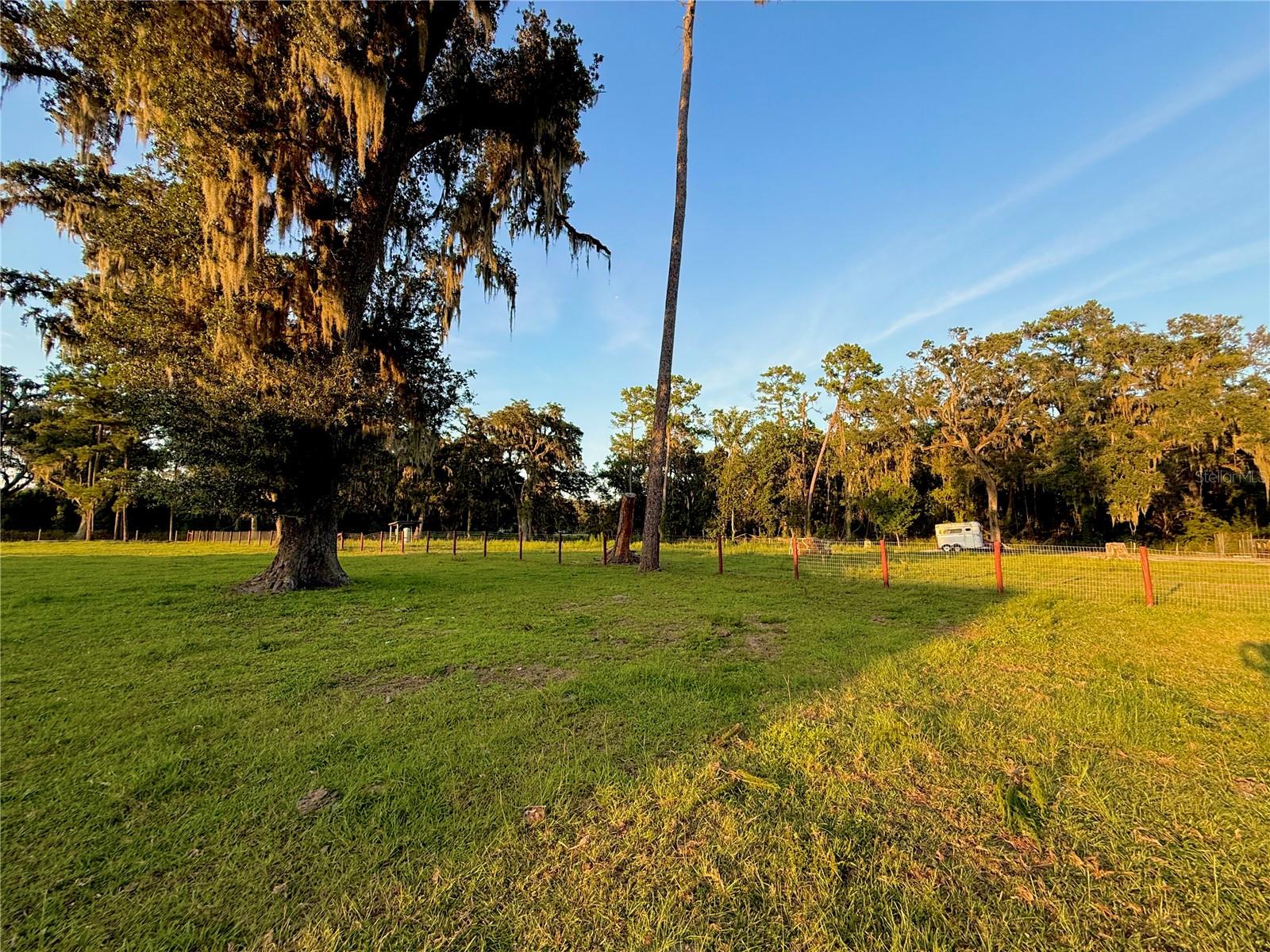 25406 Ladyhawk Ln Property Photo 69
