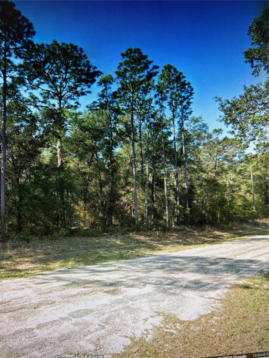 564 E Panama Dr Property Photo 3