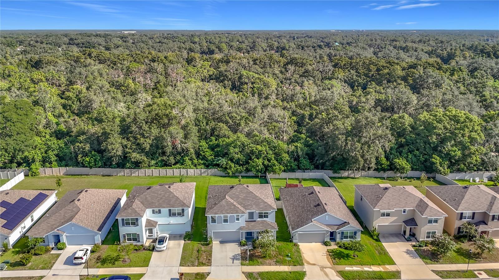 7737 Rosewood Garden Loop Property Photo 3