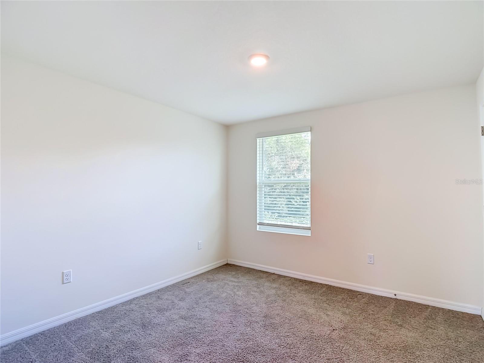 7737 Rosewood Garden Loop Property Photo 67